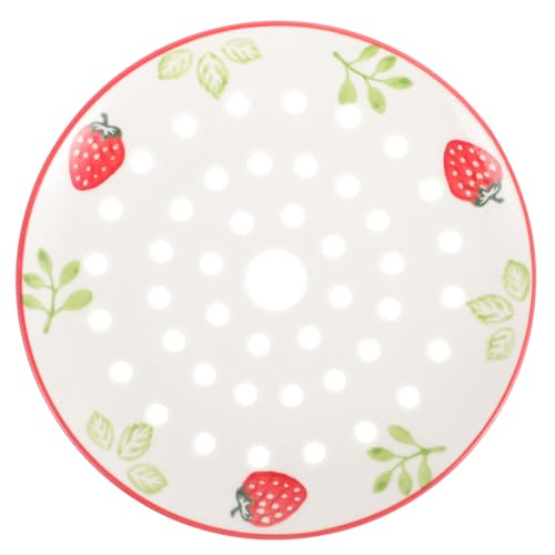 Gatuida Keramik Dampfteller mit Löchern Langlebige Dampfgarer Platte für Teigtaschen Gedämpfte Brötchen Vielseitig Einsetzbar für Fisch Reis und Spülmaschinengeeignet Stilvolles Design von Gatuida