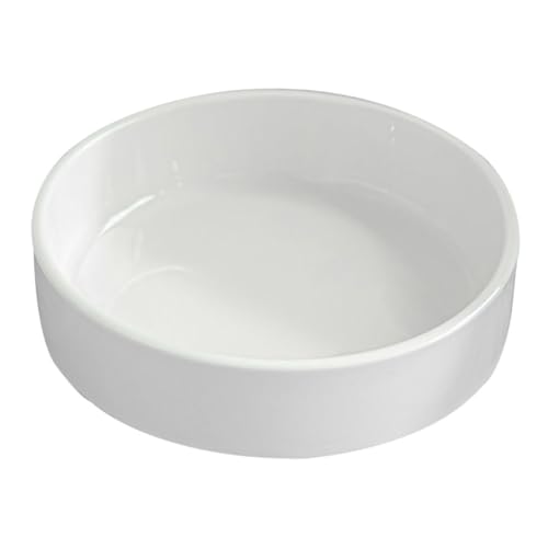 Gatuida Keramik Pflanzenuntersetzer Rund Robust und Langlebig rutschfest für Innenbereiche Kompatibel mit Verschiedenen Blumentöpfen zur Wasserauffangschale und Sauberem Fensterbrett Weiß Gatuida Keramik Pflanzenuntersetzer Rund Robust und Langlebig rutschfest für Innenbereiche Kompatibel mit Verschiedenen Blumentöpfen zur Wasserauffangschale und Sauberem Fensterbrett Weiß von Gatuida