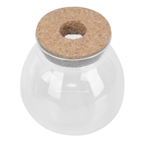 Gatuida Kreatives Fischglas Transparent Hydroponischer Pflanztopf Dekorativer Terrarium Behälter Für Zimmer Tisch Wohnzimmer Büro Balkon Gatuida Kreatives Fischglas Transparent Hydroponischer Pflanztopf Dekorativer Terrarium Behälter Für Zimmer Tisch Wohnzimmer Büro Balkon von Gatuida