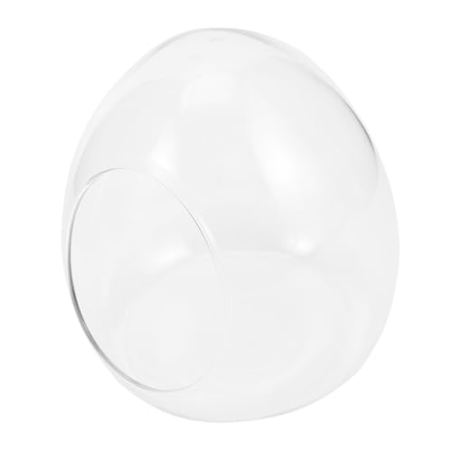 Gatuida Landscape Flasche aus Klarem Glas DIY Pflanzenbehälter Kleine Ökologische Flasche Leicht Langlebig Vielseitig für Heimdekoration und Mikrolandschaften Geeignet von Gatuida