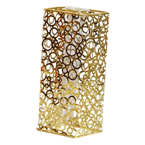 Gatuida Minimalistische Hydroponik Glasvase mit Goldfarbenem Metallrahmen Dekorativer Blumenständer für Trocken und Wasserpflanzen Modernes Design für Büro und Stabiles Eisen Gestell von Gatuida
