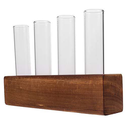 Gatuida Pflanzenterrarium Glas Mit Holzständer Für Anpflanzung Ausbreitung Hydrokultur Für Zimmerpflanzen Blumen Wohnzimmer Dekoration Gatuida Pflanzenterrarium Glas Mit Holzständer Für Anpflanzung Ausbreitung Hydrokultur Für Zimmerpflanzen Blumen Wohnzimmer Dekoration von Gatuida