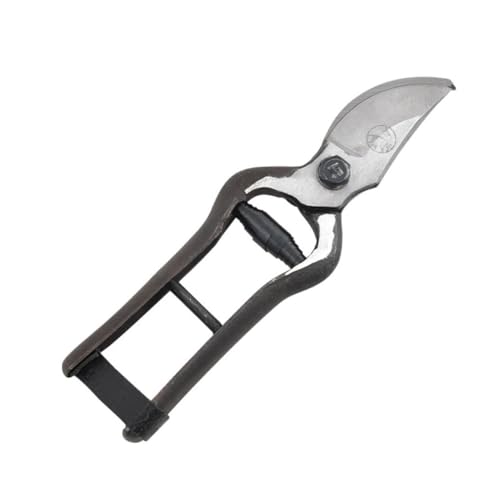 Gatuida Professionelle Gartenschere für Schwere Arbeiten Scharfe Baum Strauchschnittschere mit Rutschfestem Griff Kompakte Langlebige Hand Astschere für Kleine Gärten und Präzises Gatuida Professionelle Gartenschere für Schwere Arbeiten Scharfe Baum Strauchschnittschere mit Rutschfestem Griff Kompakte Langlebige Hand Astschere für Kleine Gärten und Präzises von Gatuida