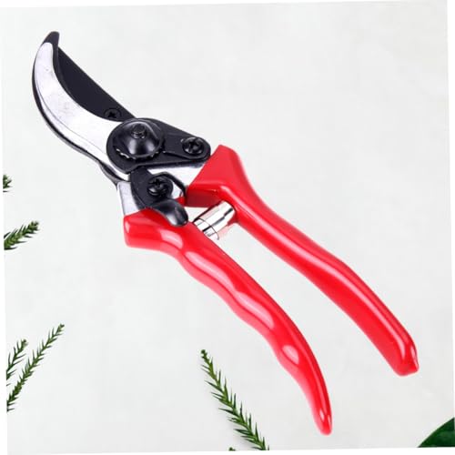 Gatuida Professionelles Veredelungswerkzeug Aus rostfreiem Metall Effiziente Gartenschere für Baumschnitt und Obstbaumveredelung Langlebig und Zeitsparend für Gartenarbeit Gatuida Professionelles Veredelungswerkzeug Aus rostfreiem Metall Effiziente Gartenschere für Baumschnitt und Obstbaumveredelung Langlebig und Zeitsparend für Gartenarbeit von Gatuida