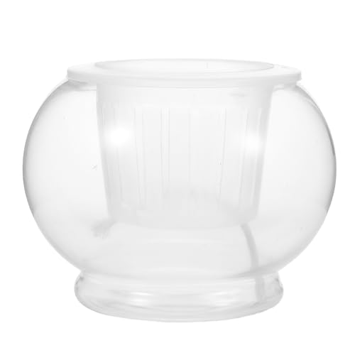 Gatuida Selbstbewässernder Blumentopf, klares rundes Glas, Fischtank, Fischschale, Hydrokultur-Terrarium, Vase, Tisch-Pflanzstation aus Glas für Wasserblumen und Wasserpflanzen von Gatuida