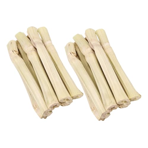 Gatuida Süße Kau-spielzeuge aus Natürlichem Holz für Kaninchen Hamster Chinchillas Meerschweinchen Zahnpflegende Kauspielzeuge für Kleine Haustiere Ergonomisch Geformt von Gatuida