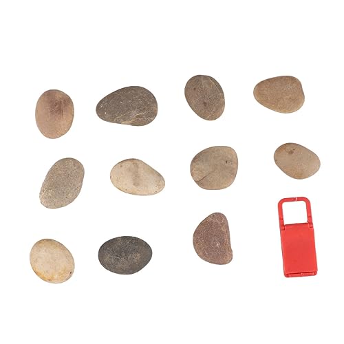 Gatuida Steine Zum Bemalen Mit Naturkieseln Und Halterung DIY Bemalte Steine Zeichnen Handbemalte Felsen Für Garten Topfpflanzen Oder Aquarien Gatuida Steine Zum Bemalen Mit Naturkieseln Und Halterung DIY Bemalte Steine Zeichnen Handbemalte Felsen Für Garten Topfpflanzen Oder Aquarien von Gatuida