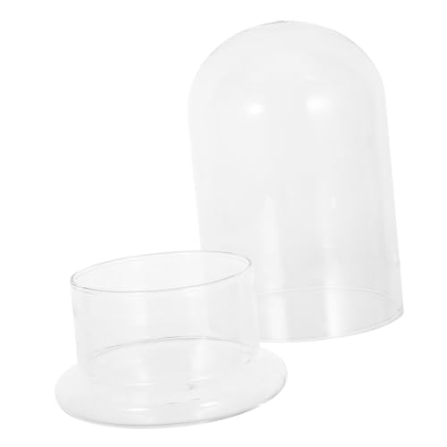 Gatuida Transparentes Glas Terrarium DIY Landschaftsvase für Moos Kleine Pflanzen Dekorativer Pflanzentopf Leichtes Display für Zuhause und Büro von Gatuida