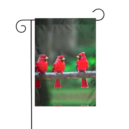 Rote süße Vögel Outdoor-Gartenflaggen – kleine Rasenflaggen für alle Jahreszeiten, die perfekte Willkommens-Frühlingsgartenflagge für jedes Zuhause von GaxfjRu