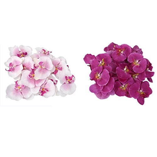 Gazechimp 40x Kunstblumen Orchidee Blumen Köpfe , Schmetterlingsorchidee Blüten Blumenköpfe Hochzeit Dekoration von Gazechimp