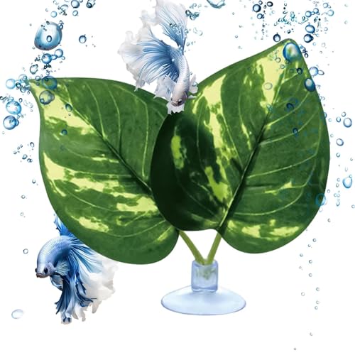 Gazocua Betta Bett - Saugnapf Fischblatt Auflage - Kunstpflanze Für Fisch Schlafen Spielen Verstecken Laichplatz Habitat Gazocua Betta Bett - Saugnapf Fischblatt Auflage - Kunstpflanze Für Fisch Schlafen Spielen Verstecken Laichplatz Habitat von Gazocua