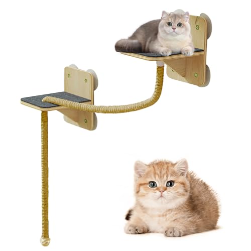 Gazocua Katzen Wandregale | Indoor Kletterwand Regale für Katzen mit integriertem Kletterturm - Natürlicher Kratzturm Mit Stufen Und Katzenspielzeug Für Innen Und Außenbereich Fenster Tür Und Zuhause von Gazocua