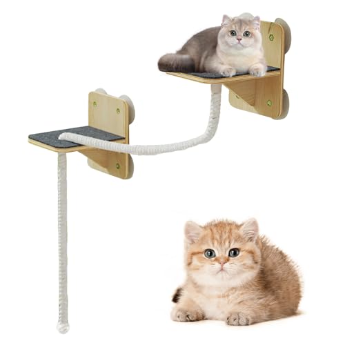 Gcerfby Katzen Wandregale,Stabiler Und Sicherer Kletterbaum Möbel Set - Natürliche Kratz- und Ruheflächen mit Treppen für Spiel und Entspannung im Haushalt an Fenstern Türen und Gcerfby Katzen Wandregale,Stabiler Und Sicherer Kletterbaum Möbel Set - Natürliche Kratz- und Ruheflächen mit Treppen für Spiel und Entspannung im Haushalt an Fenstern Türen und von Gcerfby