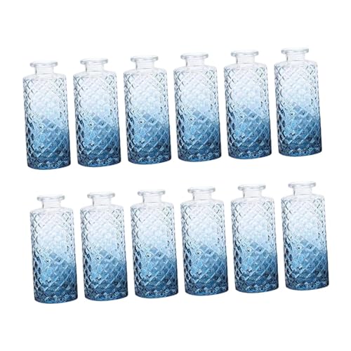 Gcljlmy 12 Stück Glasvasen, dekorative Vasen, Romantisches Geschenk, Pflanzenbehälter, Blumenarrangement-Display für drinnen und draußen, Bücherregal (Farbverlauf Blau) von Gcljlmy