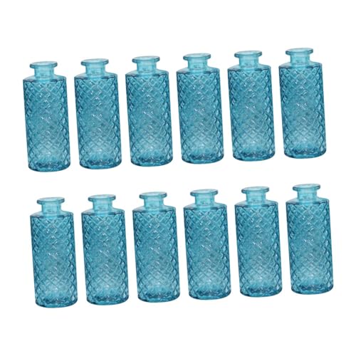 Gcljlmy 12 Stück Glasvasen, dekorative Vasen, Romantisches Geschenk, Pflanzenbehälter, Blumenarrangement-Display für drinnen und draußen, Bücherregal (Himmelblau) von Gcljlmy