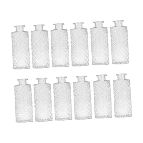 Gcljlmy 12 Stück Glasvasen, dekorative Vasen, Romantisches Geschenk, Pflanzenbehälter, Blumenarrangement-Display für drinnen und draußen, Bücherregal (Klar) von Gcljlmy