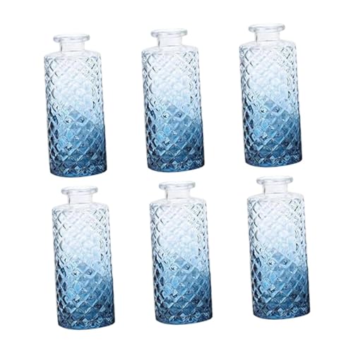 Gcljlmy 6 Stück Knospenvasen aus Glas, Mini-Blumenvasen, Tafelaufsätze, leicht, kreativ, dekorative Pflanzenbehälter für Bücherregale im Innenbereich (Farbverlauf Blau) von Gcljlmy