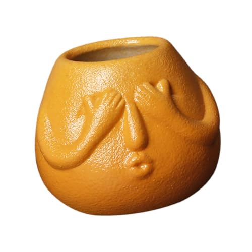 Gcljlmy Lustiger Cartoon -Pflanzer kreativer Blumenpot für kleine Pflanzen Gartendekor süße Pflanzentopf Kleiner blumentopf für Garten Terrasse (Gelb) von Gcljlmy