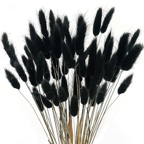 60pcs Pampas Grasdekor 17 Zoll Simulation Faux Pampas Gras Funny DIY Photography Requisiten Einfach zu verwenden Boho Flowers für Home Wedding Decor Basteln, schwarz .. von Gcroet