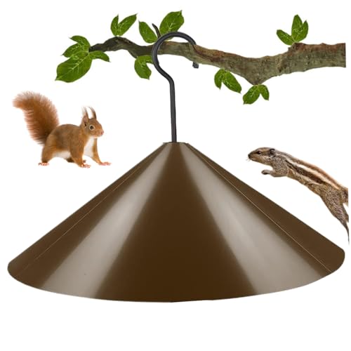 Eichhörnchen Schaffer 19 '' Dia Plastik Vogelfutterhäuschen Eichhörnchen Guard mit Hakenwick von Gcroet