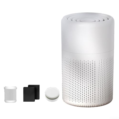 Gdfnmogo H13 Luftreiniger, Schreibtisch-Ionisator-Reiniger mit Diffusor für ätherische Öle, ultra-leise, tragbar, für Zuhause, Schlafzimmer, Büro, PM2.5 Entfernung Gdfnmogo H13 Luftreiniger, Schreibtisch-Ionisator-Reiniger mit Diffusor für ätherische Öle, ultra-leise, tragbar, für Zuhause, Schlafzimmer, Büro, PM2.5 Entfernung von Gdfnmogo