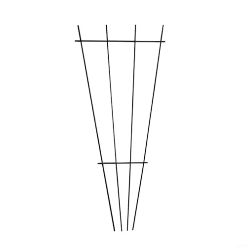 Gdfnmogo Metall-Garten-Rankgitter für Topf-Kletterpflanzen, fächerförmige dekorative Pflanzenstütze für drinnen und draußen, Zimmerpflanzen, Blumen, Reben, Efeu, Jasmin, Clematis von Gdfnmogo