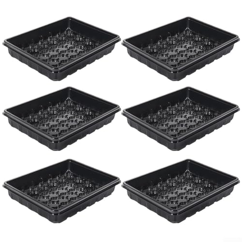 Kunststoff-Pflanzen-Anzuchtschalen für Sukkulenten-Stecklinge, Starterboxen für den Innen- oder Außenbereich, Größe 36,5 x 28 x 6,5 cm, Grün (schwarz) von Gdfnmogo