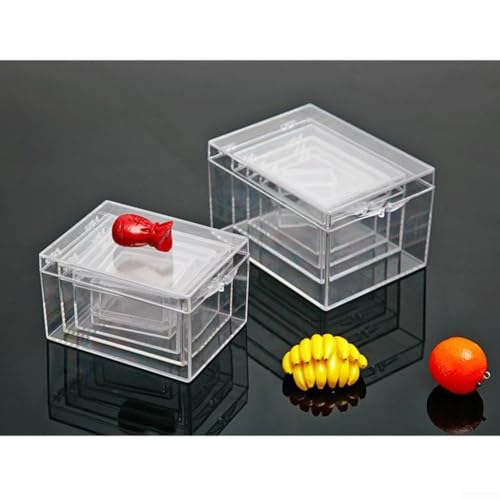 ReFor ctangular Clear Plastic Box for Storing For ct Specimens and Desktop Organization (B) von Gdfnmogo