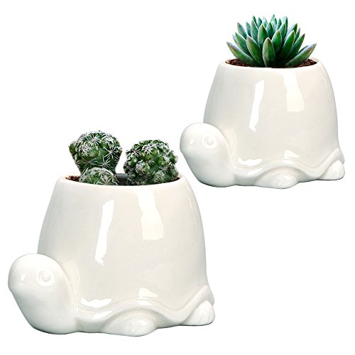 GeLive Weiße Schildkröte Keramik Sukkulenten Pflanzgefäß Schildkröte Pflanztopf Fensterbank Box Tier Blumenbehälter Tischplatte Dekor mit Drainageloch (2er Set Schildkröte) von GeLive