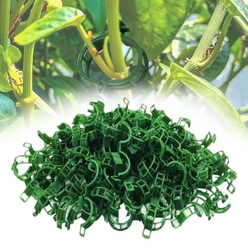 100 Pcs Pflanzenstützklammer Pflanzenstützclips Pflanzenclips für Kletterpflanzen,Pflanzenclips Tomaten Secured Plant Clips Pflanzenklammern Klein für Halten Garten Pflanzen Blumen Gemüsefrucht 100 Pcs Pflanzenstützklammer Pflanzenstützclips Pflanzenclips für Kletterpflanzen,Pflanzenclips Tomaten Secured Plant Clips Pflanzenklammern Klein für Halten Garten Pflanzen Blumen Gemüsefrucht von Geaanen