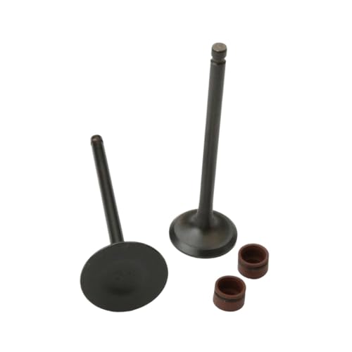 Kompatibel mit Motorradmodellen Sonic125 CBR125 125cc 4 Taktmotor für Teilenummer 14711-kgh-900 14721-kgh-900 Kompatibel mit Motorradmodellen Sonic125 CBR125 125cc 4 Taktmotor für Teilenummer 14711-kgh-900 14721-kgh-900 von GearHaven