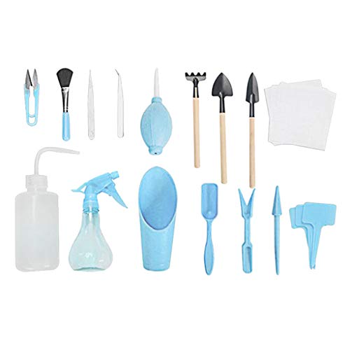 1 Set Sukkulenten Werkzeug Mini Garten Set Bonsai Pflanze Kits 16 Stück Blau von Geardeangloow