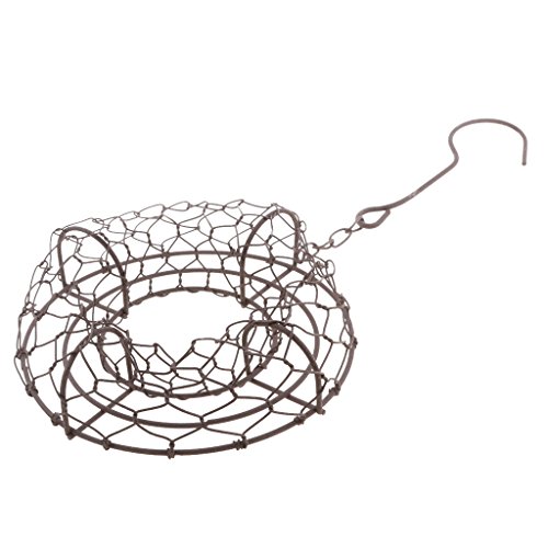 Geardeangloow 26 cm Eisendraht-Kranzrahmen Sukkulenten Topf Pflanzenhalter 15 cm runde Form Geardeangloow 26 cm Eisendraht-Kranzrahmen Sukkulenten Topf Pflanzenhalter 15 cm runde Form von Geardeangloow