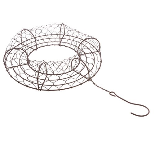Geardeangloow 26 cm Eisendraht-Kranzrahmen Sukkulenten Topf Pflanzenhalter 26 cm runde Form von Geardeangloow