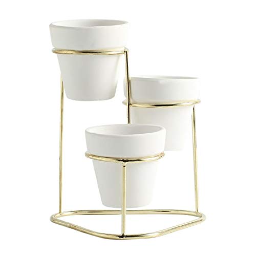 Geardeangloow 3-in-1 Mini-Keramik-Sukkulenten-Übertopf mit Ständer Set Gold A Geardeangloow 3-in-1 Mini-Keramik-Sukkulenten-Übertopf mit Ständer Set Gold A von Geardeangloow