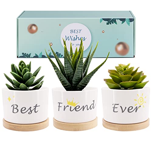 Best Friend Ever Sukkulenten Topf Geschenk, Freundschaft Geschenke für Frauen, einzigartige Geburtstagsgeschenkideen für BFF, Mama, kleine Garten Töpfe (Best Friend Ever) von Gearific