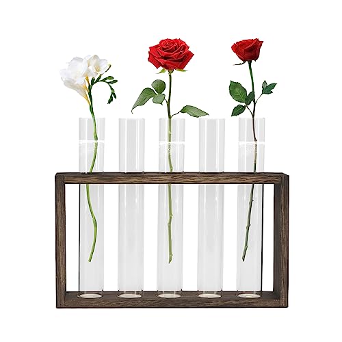 Plant Propagation Stations mit hölzernen Stand, Reagenzglas Pflanze Terrarium Hydroponische Vase Glas Pflanzer Halter für Home Office Dekoration Live Office Plants Décor (Dunkelheit) von Gearific