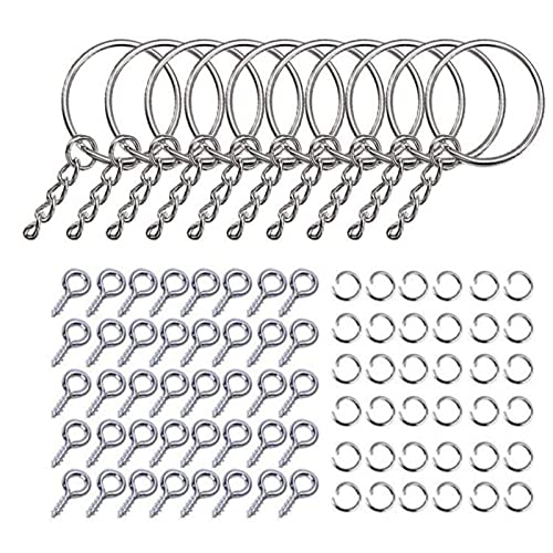 220 Teile Für Schlüsselkettenringe Kit Schlüsselbund Mit Sprung Und Schraubaugenstiftmasse Für Harz Craft Schmuckflos von Geavonyg