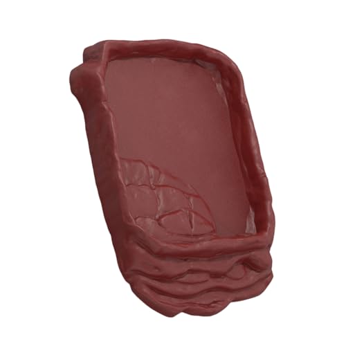 Geavonyg Imitation Rock Reptiles Dish Antislip Rampen Füttere Wasserstation Für Kleine Reptilien Ermits Easy Maintenances Food Bowl Geavonyg Imitation Rock Reptiles Dish Antislip Rampen Füttere Wasserstation Für Kleine Reptilien Ermits Easy Maintenances Food Bowl von Geavonyg