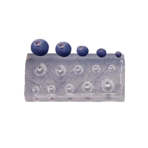 Praktische Blaubeere Robuste Silikonharzform Für Epoxidkasten Schmuckschalen Tablett Die Handwerksbedarfsprojekte Wiederverwendbares Formformular Machen Praktische Blaubeere Robuste Silikonharzform Für Epoxidkasten Schmuckschalen Tablett Die Handwerksbedarfsprojekte Wiederverwendbares Formformular Machen von Geavonyg