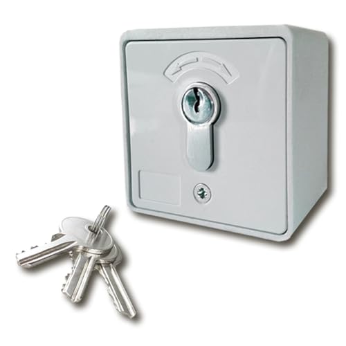 Schlüsseltaster Aufputz Geba 2-seitig tastend MES-APZ1-2T/1 inkl. DIN Profilhalbzylinder & 3 Schlüsseln Vandalismus Geschützt IP54 von Geba