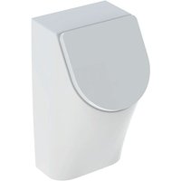 Renova Plan Urinal mit Deckel, Zulauf von hinten, Abgang - Geberit von Geberit