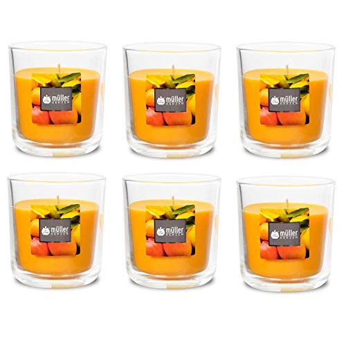 Duft-Kerzenglas 65/70 mm Set 6 Stk. Duftglas Duftkerze Duftkerzen-Glas Teelichter Duftlichter Exotic Fruits Duft-Kerzenglas 65/70 mm Set 6 Stk. Duftglas Duftkerze Duftkerzen-Glas Teelichter Duftlichter Exotic Fruits von Gebr. Müller Kerzenfabrik AG