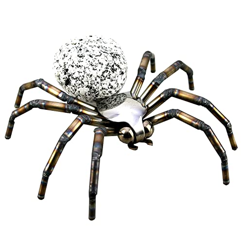 Gebrüder Lomprich Steinvogelspinne SV Spinne, Größe ca. 15 x 15 cm von Gebrüder Lomprich
