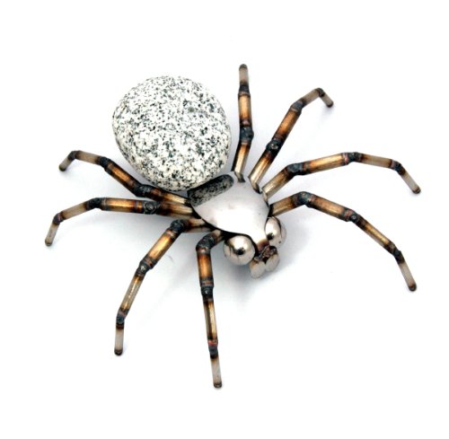 Gebrüder Lomprich Steinvogelspinne SV XL Spinne, Größe ca. 20 x 24 cm von Gebrüder Lomprich