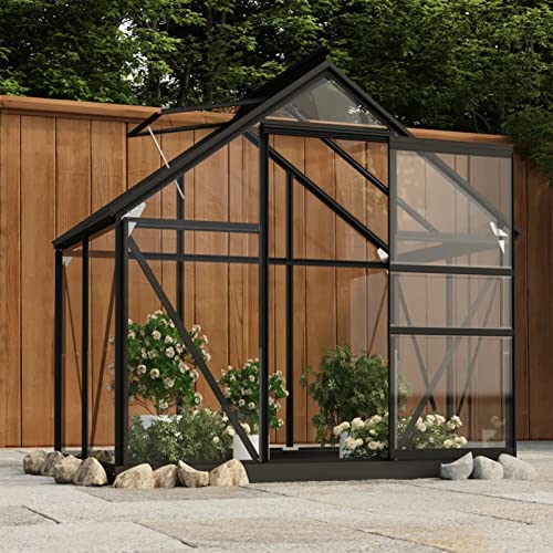 Gecheer Glas Gewächshaus Tomaten Treibhaus Glashaus Tomatenhaus Gartenhaus Pflanzenhaus Frühbeet Garten Anthrazit 155x103x191cm Aluminium von Gecheer