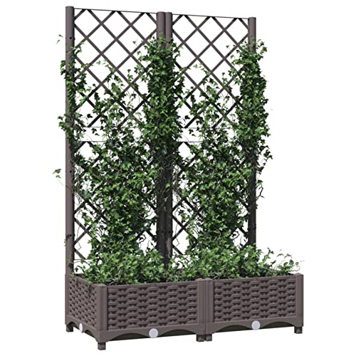 Gecheer Pflanzkübel mit Rankgitter Gartenspalier Pflanzgefäß Rankhilfe Pflanzkasten Blumenkübel Hochbeet Blumenkasten Übertopf Box Braun 80x40x121,5 cm Polypropylen von Gecheer