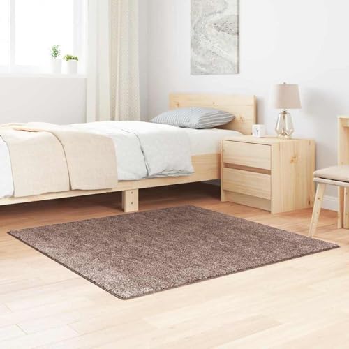 Gecheer Shaggy Teppich Hochflor Braun 120x120 cm PP, rutschfeste Fußmatte Flurteppich für Wohnzimmer Esszimmer Haustür Flur Garten4019791 von Gecheer