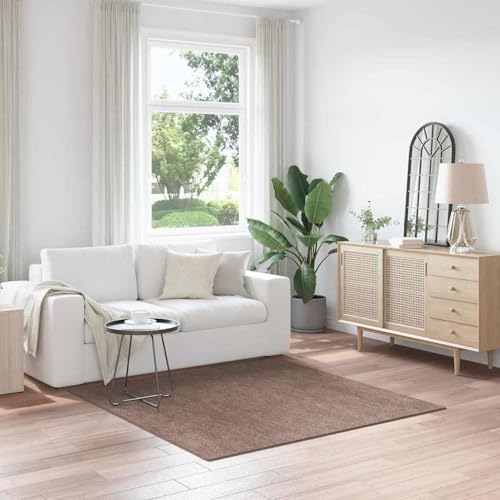Gecheer Shaggy Teppich Hochflor Braun 160x160 cm PP, Einfacher Teppich Terrassenteppich für Wohnzimmer Schlafzimmer Flurteppich4019794 von Gecheer