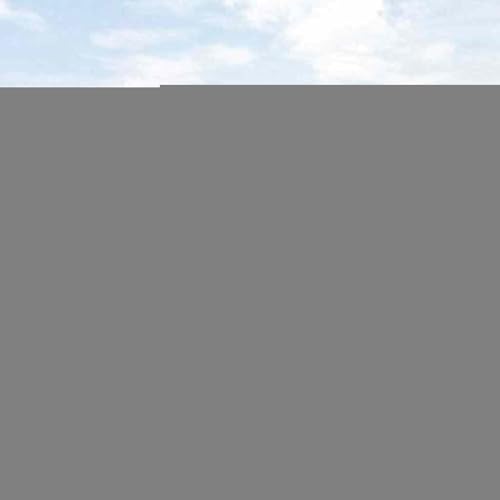 Sechseckzaun 1.2x10 m Feuerverzinkter Stahl, Zaunstangen Maschendrahtzaun Drahtzäune Gartenzaun für Hof Hühnerstall Weidezaun42005648 Sechseckzaun 1.2x10 m Feuerverzinkter Stahl, Zaunstangen Maschendrahtzaun Drahtzäune Gartenzaun für Hof Hühnerstall Weidezaun42005648 von Gecheer